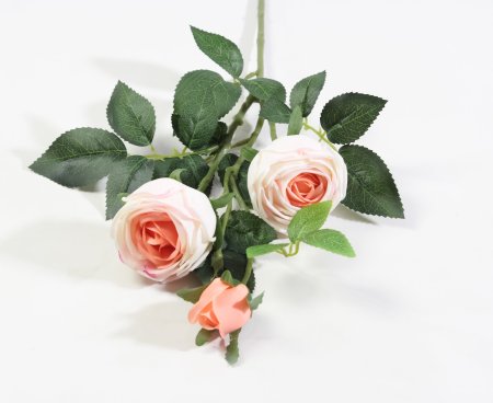 Ветка розы 3 цветка с латексным покрытием персик