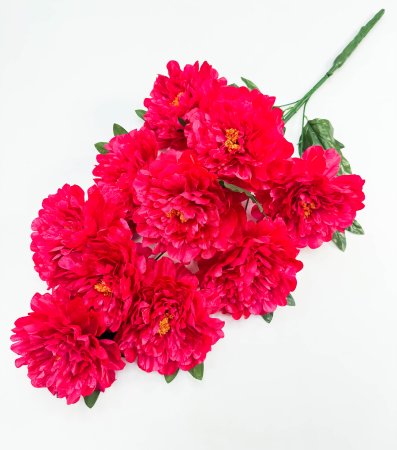 Пион "Великан" 10 цветков