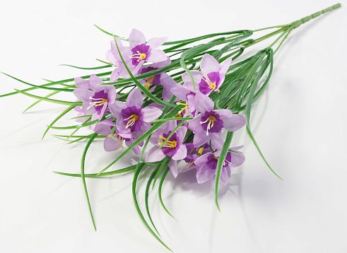 Букет нарцисса 18 цветков от магазина KALINA являющийся официальным дистрибьютором в России 