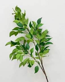 картинка Фикус ветка большая от магазина KALINA