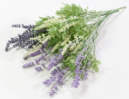 7e376d970fcdd36b0b4aebdb2974d330