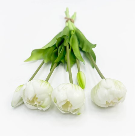 Тюльпан "Круглый" белый