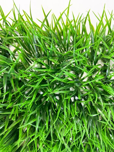 картинка Газон Садовый от магазина KALINA