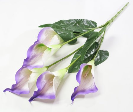 Букет калла 5 цветков