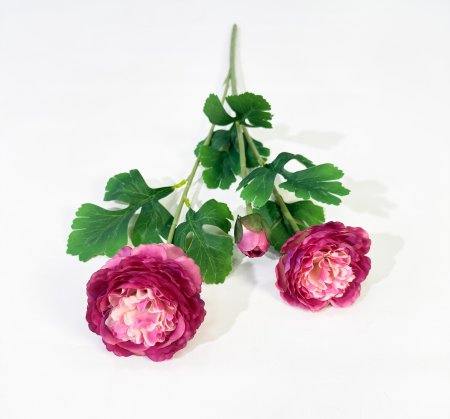 Пион "Махровый" 2 цветка 1 бутон бордо