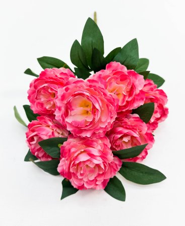 Пион "Аура" 7 цветков