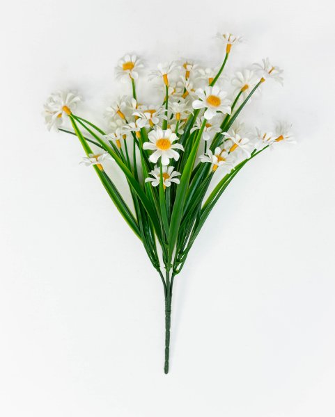 Ромашка "Опера" 35 цветков