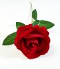 Роза  бархат "Лапуля"