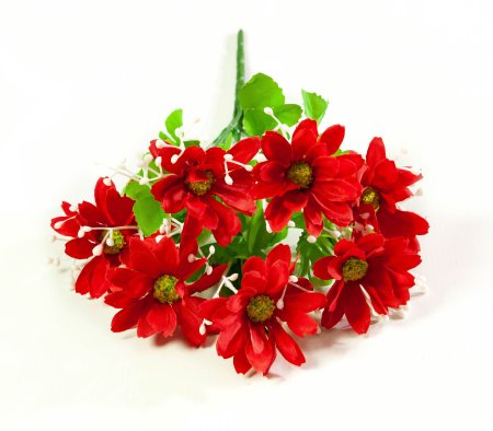 Ромашка разноцветная 7 цветков