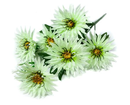 Букет астры " Краб"