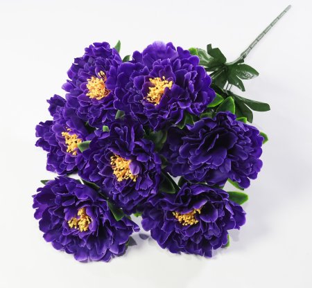 Пион "Гарант" 7 цветков