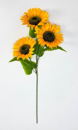 Подсолнух "Солнце в руках" 3 цветка