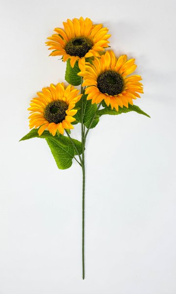 Подсолнух "Солнце в руках" 3 цветка 