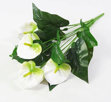 Антуриум "Белый" 5 цветков от магазина KALINA являющийся официальным дистрибьютором в России 