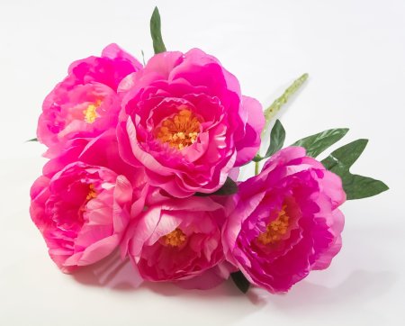 Букет пиона "Мэджик" 5 цветков