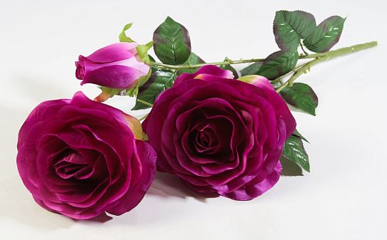Ветка роз "Фан-фан"  от магазина KALINA являющийся официальным дистрибьютором в России 