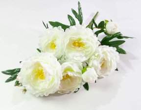 ddf90df2d89970b0bbe3d0e76f8c9ddb