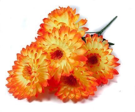 Букет астры "Лапки" 6 цветков от магазина KALINA являющийся официальным дистрибьютором в России 
