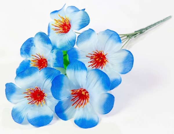 Лилия 5 веток