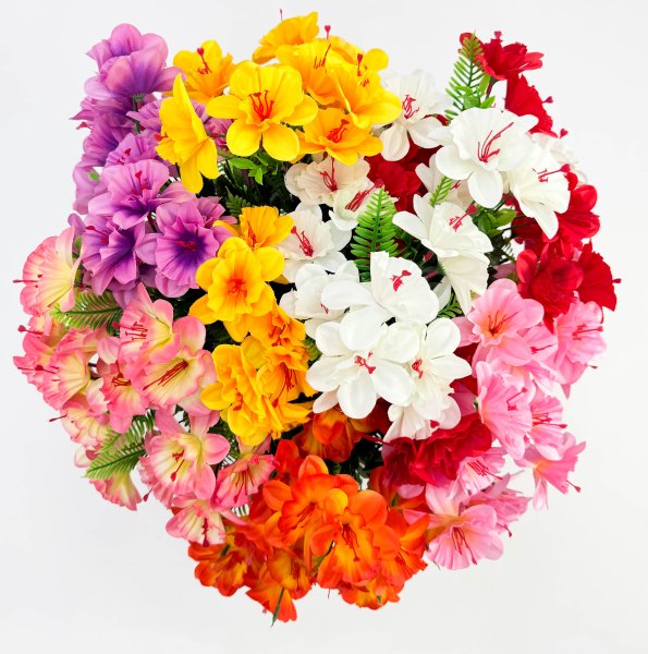 Нарцисс  22 цветка 