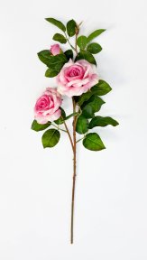 Роза "Радмира" розовая