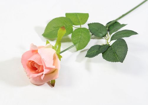Роза с латексным покрытием коралл от магазина KALINA являющийся официальным дистрибьютором в России 