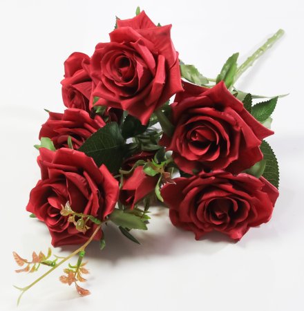 Букет роз Андриатика 6 цветков