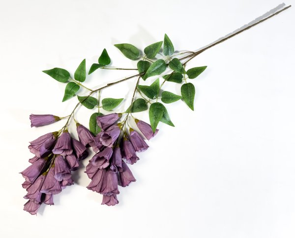 Наперстянка каскадная жимолость