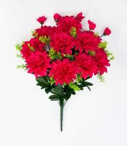 Георгин "Ворожея" 13 цветков