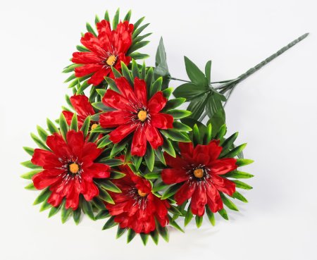 Георгин "Свирель" 6 цветков