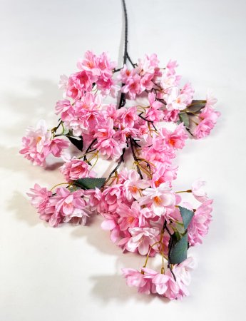 Ветка яблони "Малинка" розовая