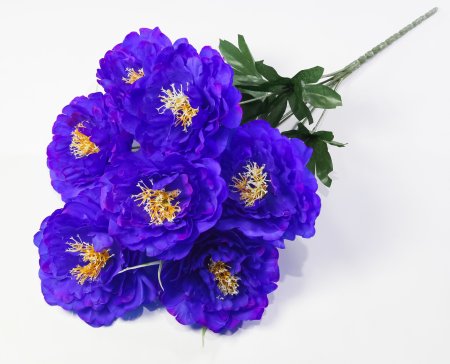 Пион "Натула" 7 цветков