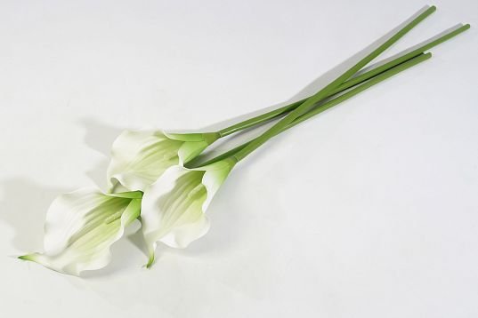 Цветок калла от магазина KALINA являющийся официальным дистрибьютором в России 