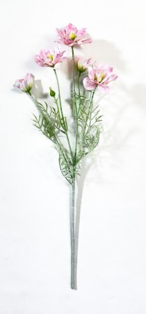 Клематис розовый