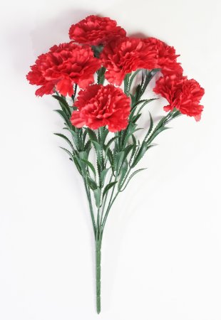 Гвоздика "Триумф" 7 цветков