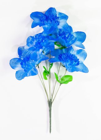 613b0419ff9b9e9a0127688da0f2b296