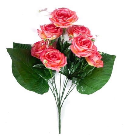 971c389d91684d1af9ea080de8d85f75