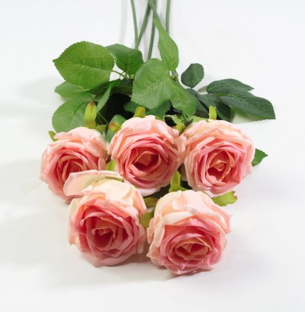 Роза с латексным покрытием крупная коралл