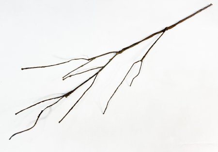 Ветка коричневая малая