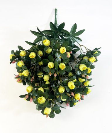 Роза "Бомонд" мелкая 18 веток