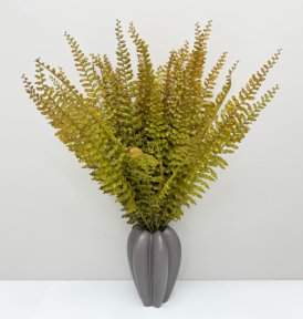 Папоротник "Кучерявый" осенний 14 листов