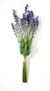 Лаванда срез 8 веточек