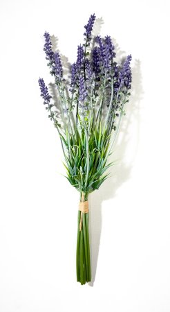 Лаванда срез 8 веточек
