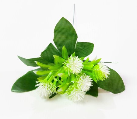 Репей садилка 5 цветков