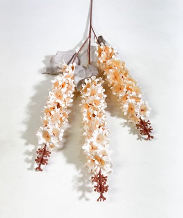 Дельфиниум Суфле персик