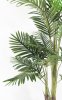 Пальма "Чунга-Чанга" 3 ствола 150 см БЕЗ КАШПО