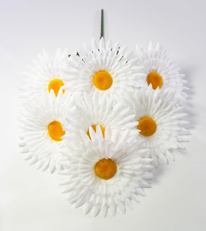 Ромашка "Голиаф" 7 цветков