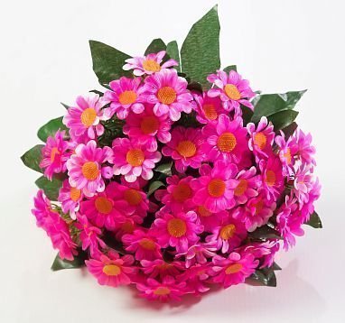 Ромашка садилка. 5 цветков. от магазина KALINA являющийся официальным дистрибьютором в России 