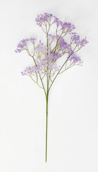 Гипсофила "Изящная" сиреневая