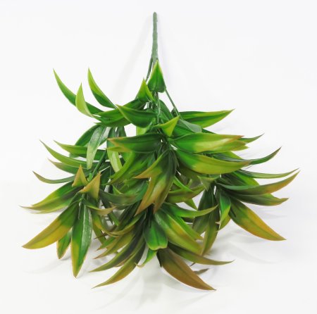 картинка Букет рускуса Осень от магазина KALINA